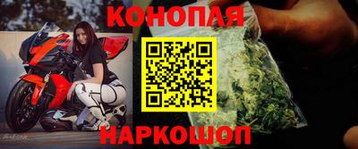 Альфа ПВП Обь