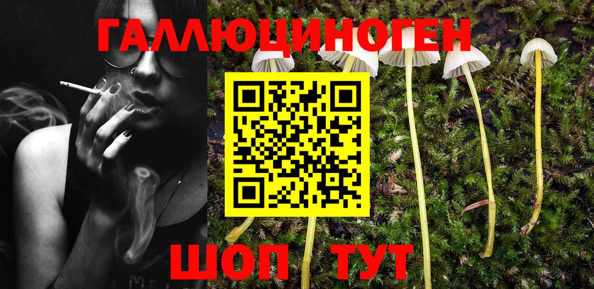 Галлюциногенные грибы MAGIC MUSHROOMS Новозыбков