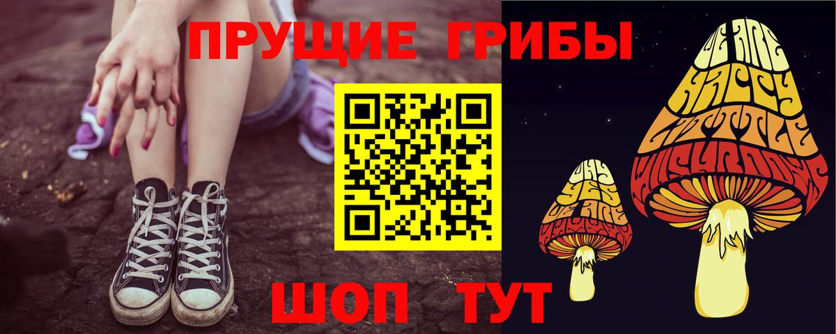 Новозыбков  Галлюциногенные грибы MAGIC MUSHROOMS  Вход с VPN 