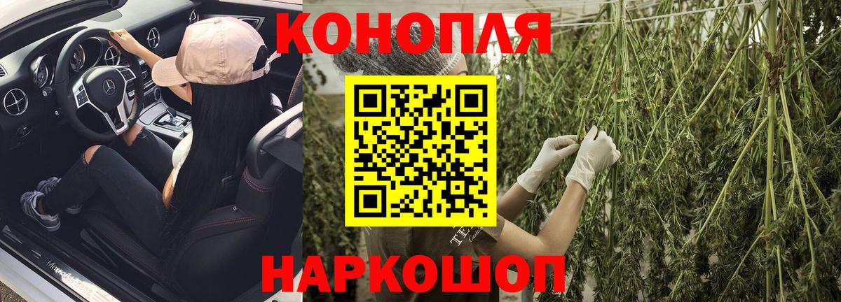 Шишки марихуана SATIVA & INDICA Новозыбков